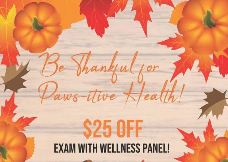 Carousel Slide 2: $25 off exam with Wellness Bloodwork