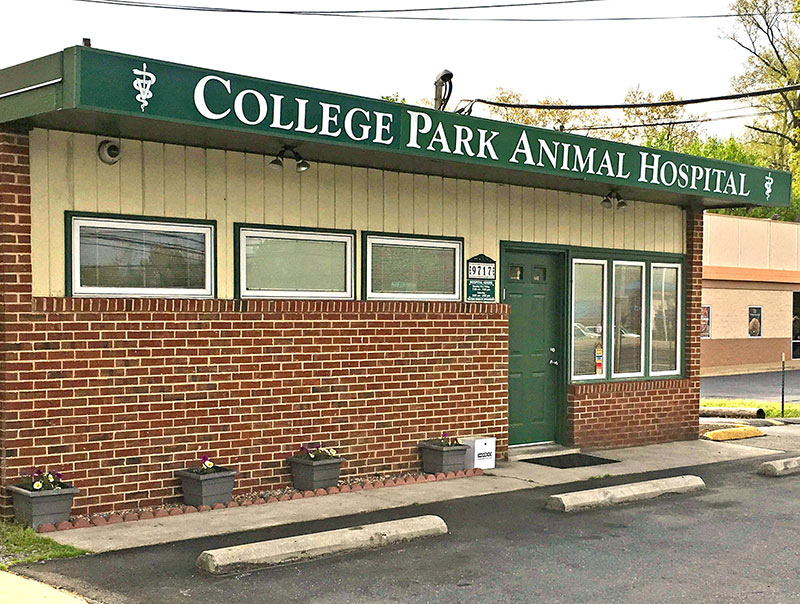 College Park Pet Hospital
